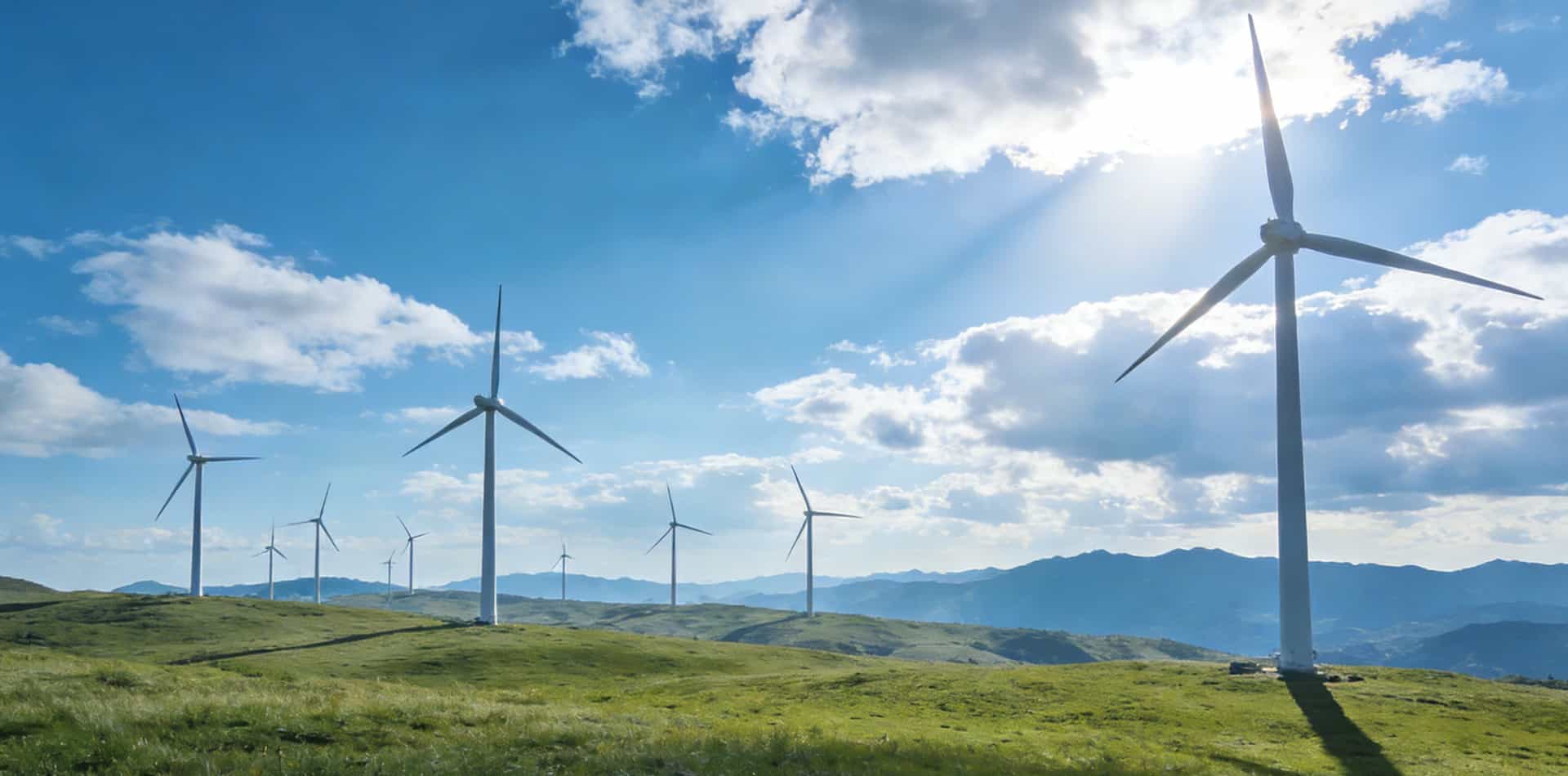 行致远之路 成大企之势